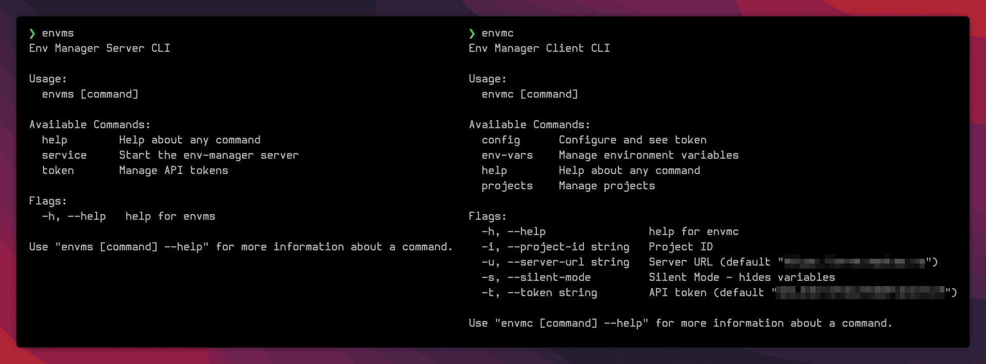 Screenshot of the Env Manager project